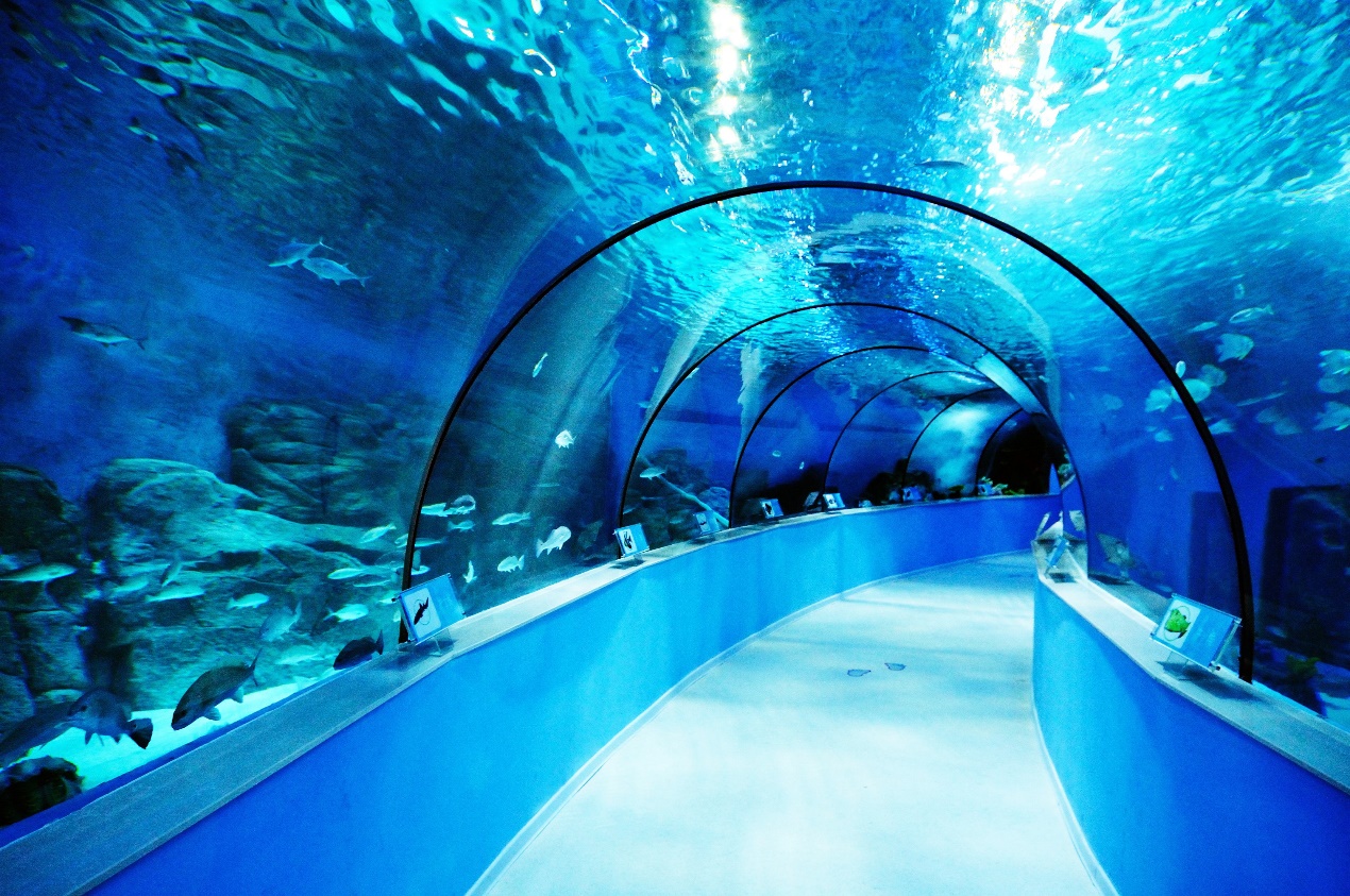 合肥市恒大中心海洋館改造加固設(shè)計